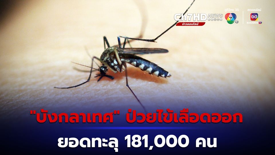 บังกลาเทศ ป่วยไข้เลือดออก ยอดทะลุ 181,000 คน