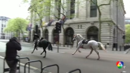เผยภาพม้าวิ่งเตลิดกลางกรุงลอนดอน