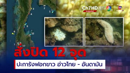 ปะการังฟอกขาว โผล่ 12 จุดทั่วประเทศไทย อุทยานฯ สั่งปิดแหล่งท่องเที่ยวแล้ว