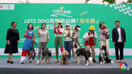 จีน จัดแข่งขันวิ่งเทรลสุนัขคู่เจ้าของ